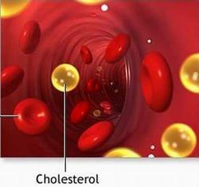 Xét nghiệm Cholesterol